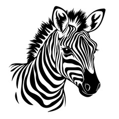 Fototapeta na wymiar Cute Zebra