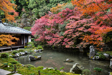 秋の京都 蓮華寺 日本庭園の紅葉