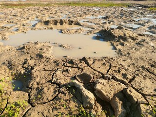 dead sea coast