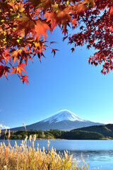 絶景紅葉と富士（快晴の河口湖畔から臨む）