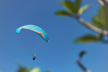 Paraglider in the sky. The sportsman flying on a paraglider.