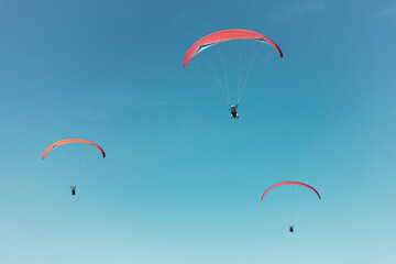 Paraglider in the sky. The sportsman flying on a paraglider.