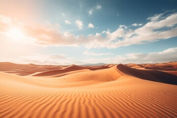 Fototapeta na wymiar a sand dunes in the desert