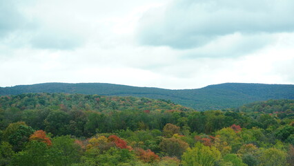 The colorful and beautiful leaves on the trees in autumn
