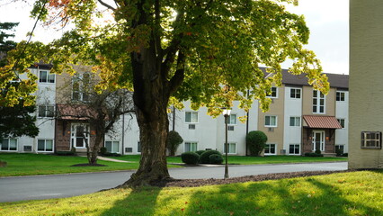 The apartments view with the warm sunlight and colorful trees in autumn