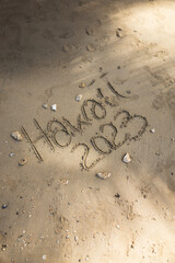 Hawaii 2023 handwritten in the sand surface