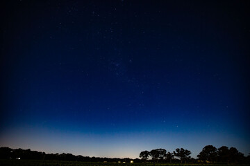 Starry Night Over Countryside with Eucalyptus Silhouette, A Celestial Experience in Nature