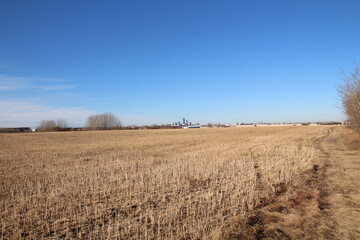 plowed field and sky, Pylypow Wetlands, Edmonton, Alberta - obrazy, fototapety, plakaty