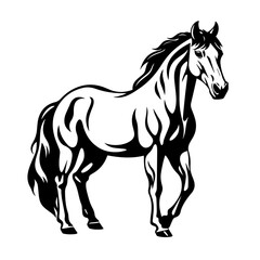 Obraz na płótnie Canvas Horse Mascot Side View