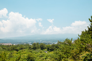 Panorama view of Hallasan mountain and green forest from Seogwipo Chilsimni Park in Jeju Island, Korea