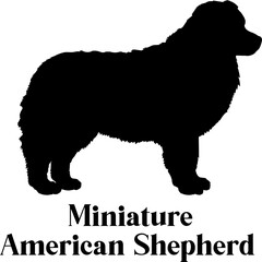 Miniature American Shepherd Dog silhouette dog breeds logo dog monogram logo dog face vector