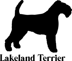 Lakeland Terrier. Dog silhouette dog breeds logo dog monogram logo dog face vector