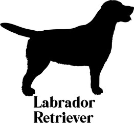Labrador. Dog silhouette dog breeds logo dog monogram logo dog face vector