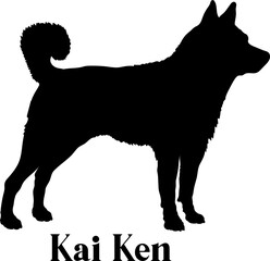 Kai Ken Dog silhouette dog breeds logo dog monogram logo dog face vector