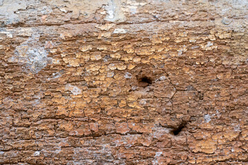 Weathered wall closeup