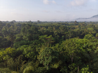 Fototapeta na wymiar Aerial view green tropical rainforest with morning sunrise
