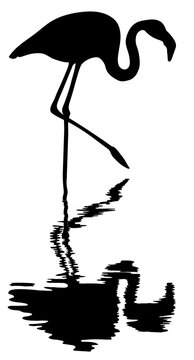 recommend clip art: silhouette of flamingo standing in water