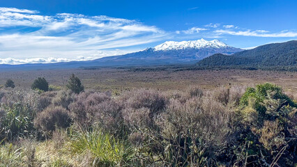The volcanic terrain of the National Park in the western side of the Central plateau of New Zealand