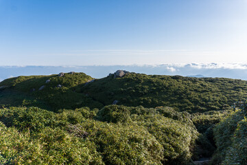 Trail between Nagatadake and Shin Takatsuka Hut in Yakushima