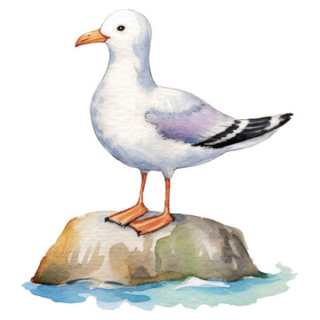 Colorful watercolor painting of a seagull standing on a rocky shore. Serene seaside scene with a bird. Nature art illustration. generative AI