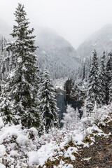 mountain landscape of Lake Kaindy in the Kungei Alatau gorge, it is called the “sunken forest”, Kazakhstan