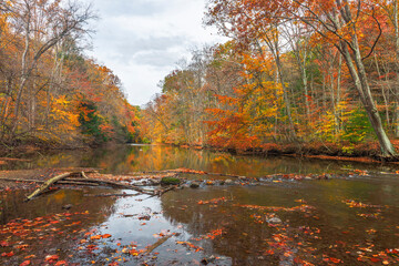 Clear Fork Branch of the Mohican River in autumn. Mohican State Park