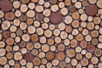 Background of tree stumps, natural wood background