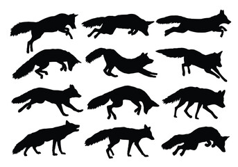 The set silhouettes of wild foxes.
- 684071597