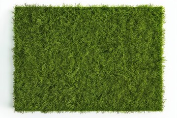 Rectangle square patch or island of green grass isolated on white background flat lay top view from...