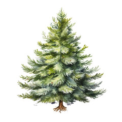 watercolor christmas tree illustration