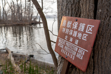 湖畔に置かれた鳥獣保護区であることを示す看板　北海道・大沼国定公園