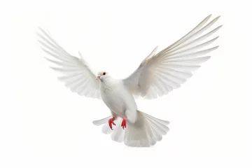 Fotobehang white dove isolated on white background, Generative AI © Visual Horizons