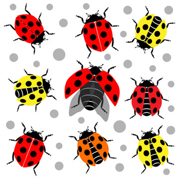 Cute ladybug or ladybird simple flat design red and black. Vector illustration on white background