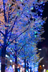 イルミネーション