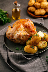 Portion of appetizing baked whole chicken with potatoes