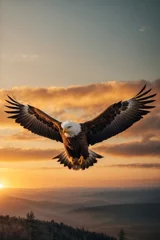 Zelfklevend Fotobehang Close-up of a beautiful eagle flying at sunset against the sky. Wildlife, protected birds concepts. © liliyabatyrova