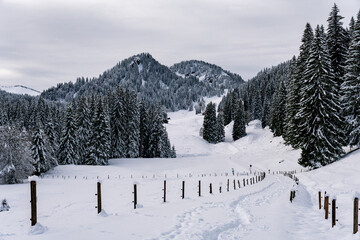 Snowshoe tour to the Tennenmooskopf on the Nagelfluhkette in the Allgau Alps