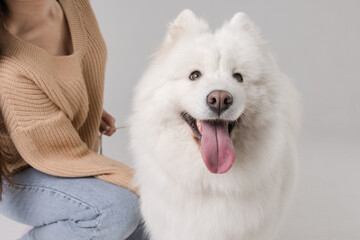 girl playing and hugging a white Samoyed dog on a clean white background, caring for a dog, large white dog