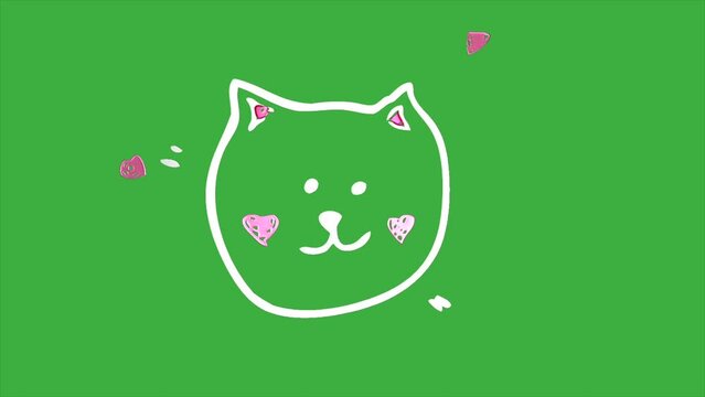 Loop cartoon video animation of a cartoon face cat on green screen background