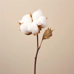 Schilderijen op glas white magnolia flower © Usama136