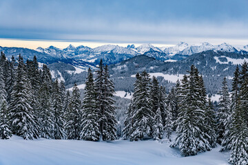 Fototapeta premium Snowshoe tour to the Tennenmooskopf on the Nagelfluhkette in the Allgau Alps