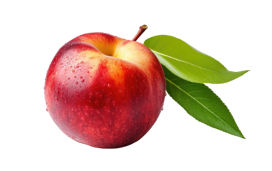 A Realistic Image Showcase of Nectarine on White or PNG Transparent Background