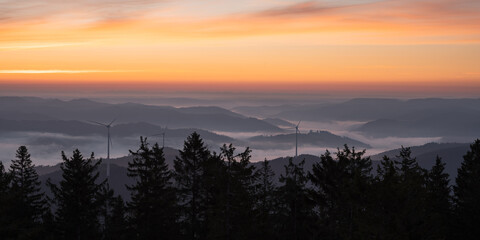 Sonnenaufgang im Schwarzwald, Ausblick vom Brandenkopf