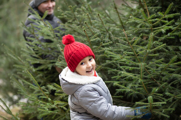 Cute little kid choosing with family freshly cut Christmas tree at outdoor fair. Holiday...