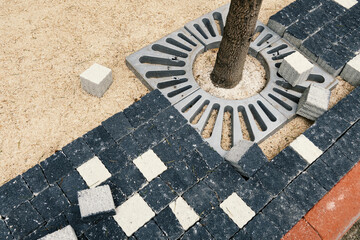 Laying paving slabs around tree trunk on sand  process, urban street improvement