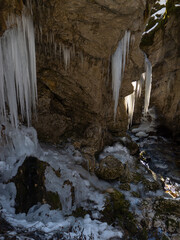 Long white icicles hanging from a rock wall in the canyon above mountain stream