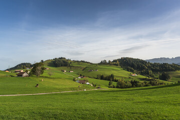 Fototapeta na wymiar Hilly landscape in the Appenzellerland with farms, green meadows and pastures, Canton Appenzell Innerrhoden, Switzerland