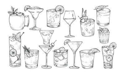cocktail drink handdrawn illustration engraving