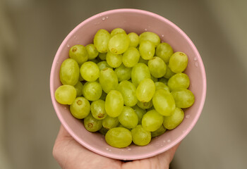 Zielone winogrona bezpestkowe w miseczce, zdrowa przekąska 