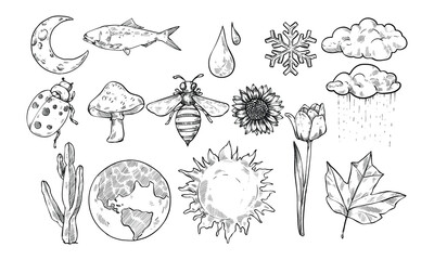 beautiful nature handdrawn collection engraving